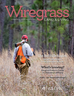 Fall 2018 Wiregrass