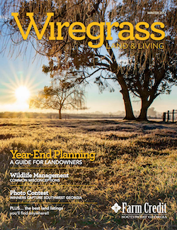 Winter 2017 Wiregrass