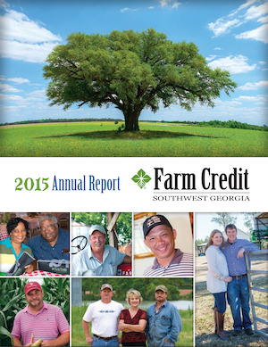 2015 Annual Report