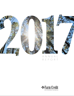 2017 Annual Report