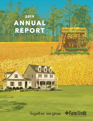 2019 Annual Report