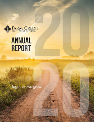 2020 Annual Report