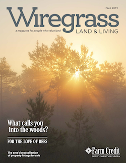 Fall 2019 Wiregrass