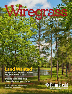 Spring 2018 Wiregrass