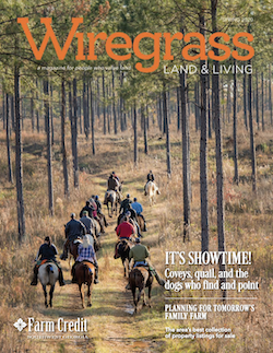 Spring 2020 Wiregrass