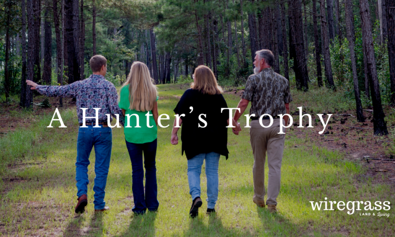 A Hunter's Trophy wiregrass article image