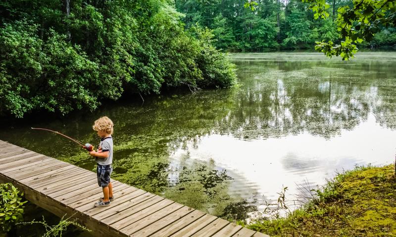 5 reasons land is your legacy blog photo