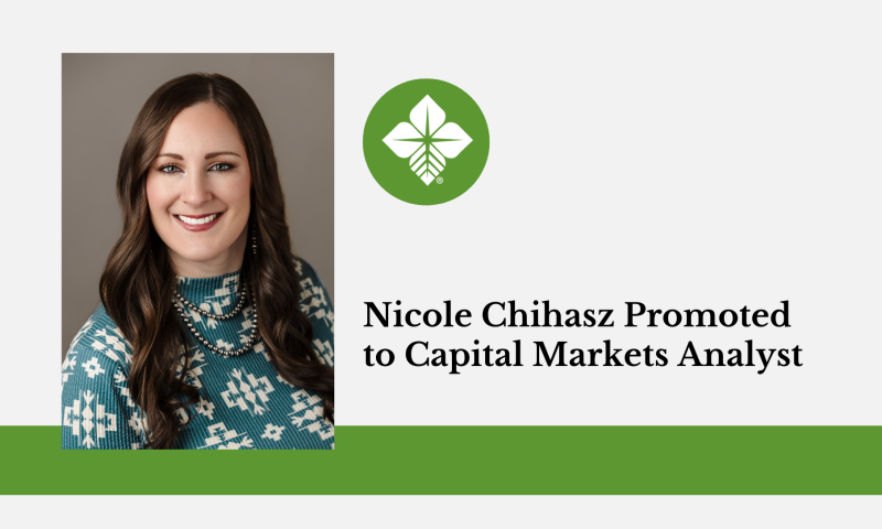 Nicole Chihasz Promoted to Capital Markets Analyst