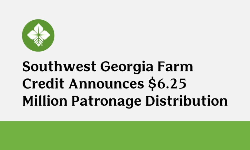 Patronage 2026 Release