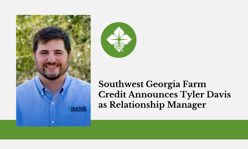 Tyler Davis Blog Photo