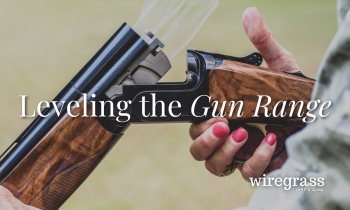Leveling the Gun Range
