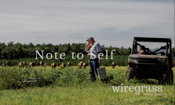 Note to Self: Pursue Farming With Passion wiregrass image