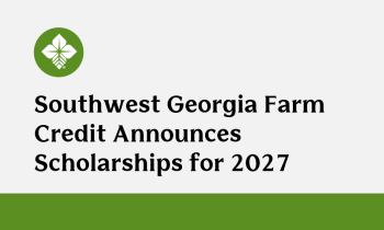 scholarships 2027