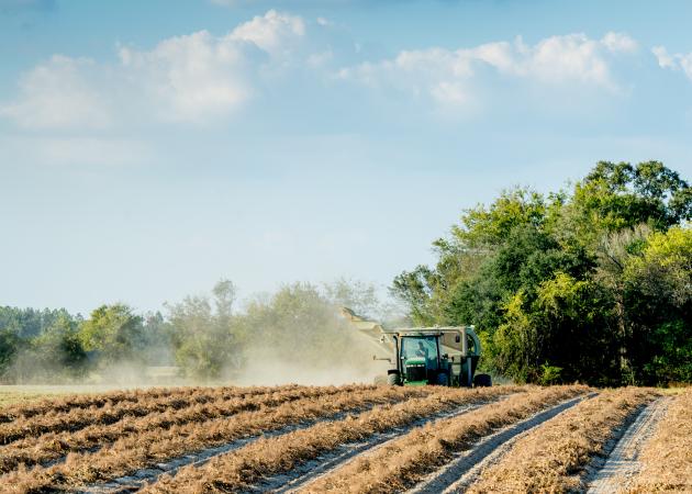 Tractor tilling a field